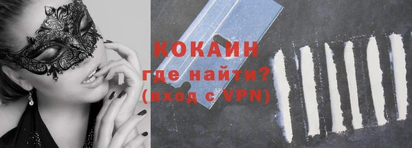 прущие грибы Козельск