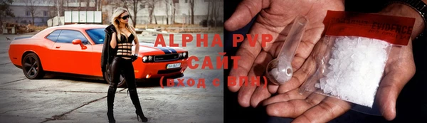 прущие грибы Козельск