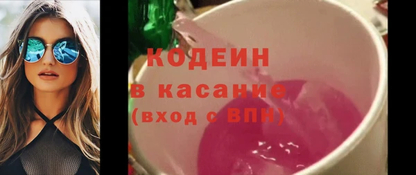 прущие грибы Козельск