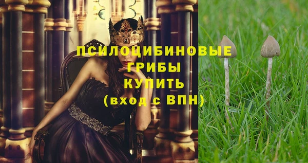 apvp Кодинск