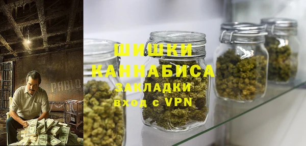 прущие грибы Козельск