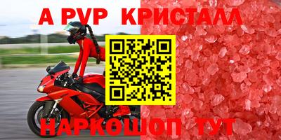 шишки Заволжье