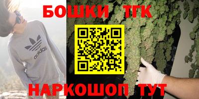 шишки Заволжье
