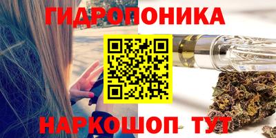 шишки Заволжье