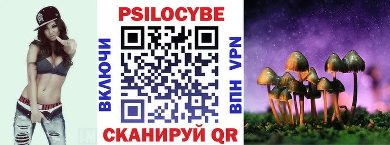 Псилоцибиновые грибы мицелий  Буйнакск 