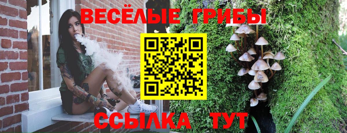 Буйнакск  Псилоцибиновые грибы GOLDEN TEACHER  Вход с VPN 