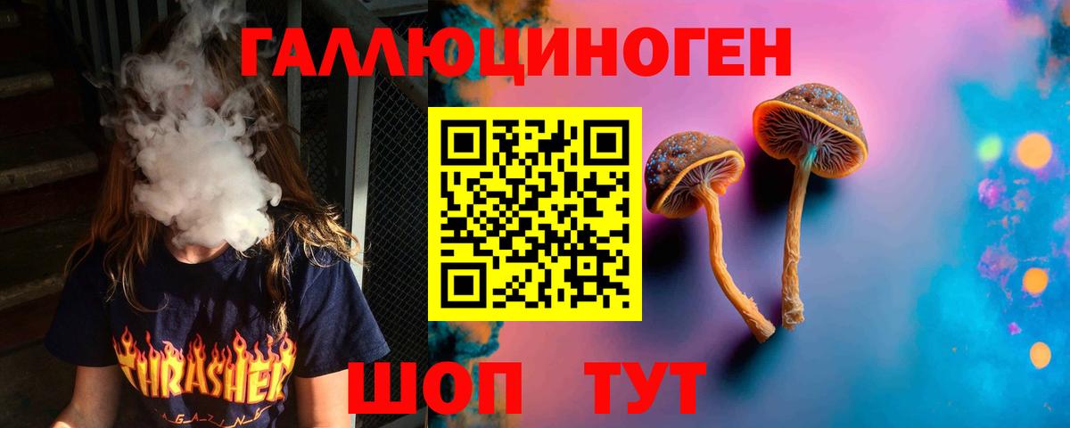 Галлюциногенные грибы Psilocybine cubensis Буйнакск